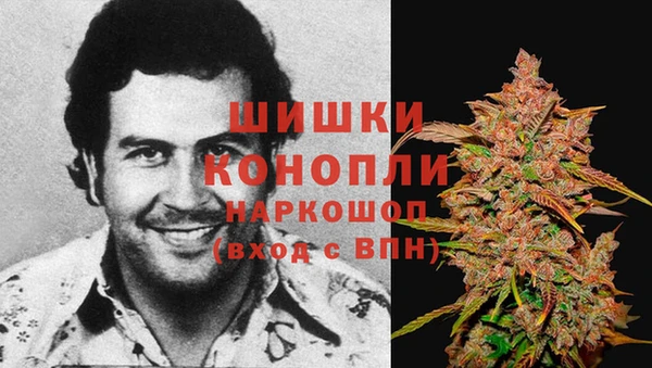 стаф Лихославль