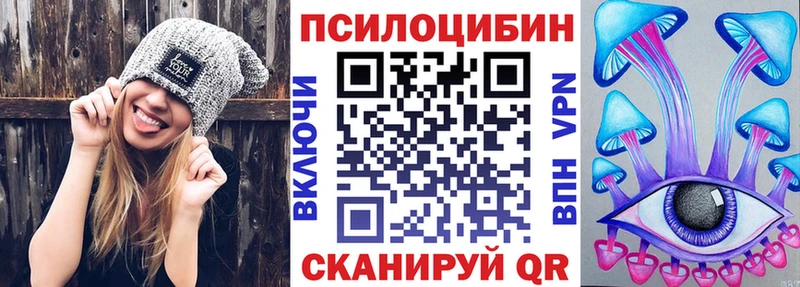 Псилоцибиновые грибы Magic Shrooms  где продают наркотики  Шахунья 
